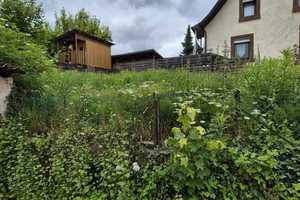 +++Charmantes Einfamilienhaus für Handwerker: Freistehendes Haus mit Garten, Parkmöglichkeit und ... – Südwestpfalz (Kreis) – Vorschaubild 10