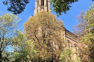 Property thumbnail 20