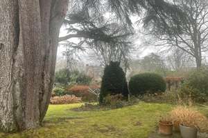 Property thumbnail 27