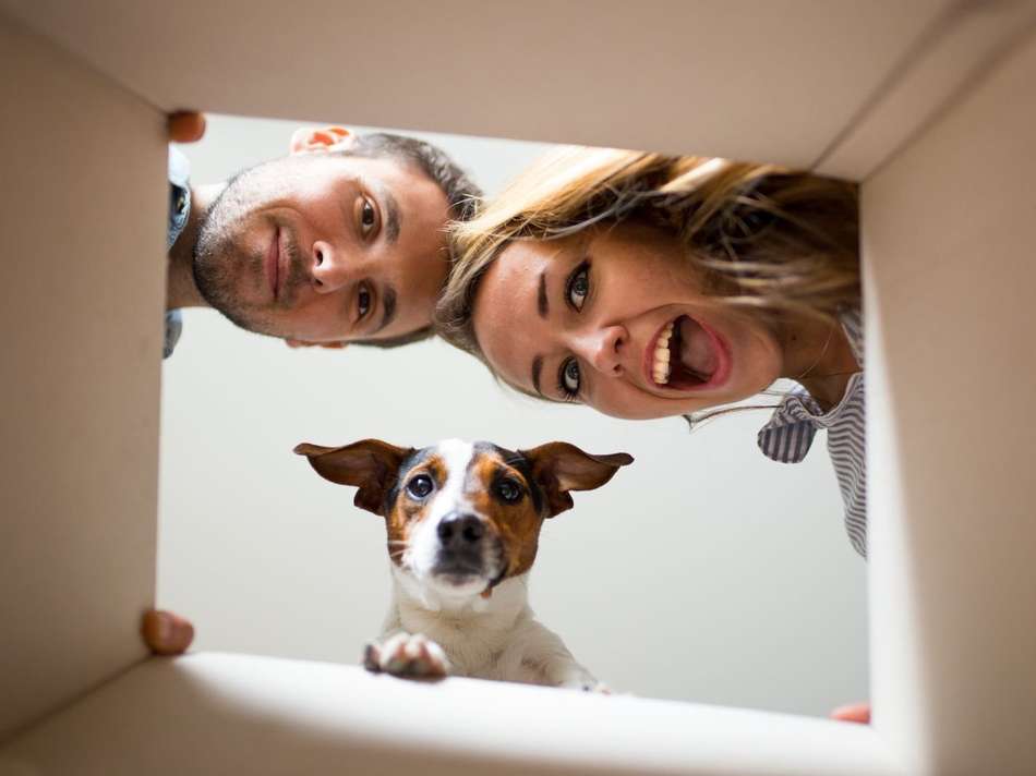 Neugierige Blicke von oben