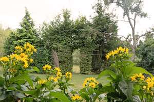 Charmantes Wohnhaus mit traumhafter Gartenlandschaft – Die vollständige Adresse der Immobilie erhältst du vom Anbieter., 56290 Macken – Vorschaubild 24