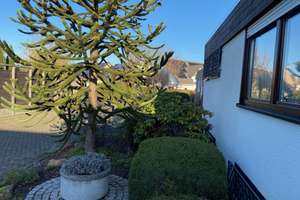 GEPFLEGTER BUNGALOW IN RUHIGER LAGE IN PULHEIM – Die vollständige Adresse der Immobilie erhältst du vom Anbieter., 50259 Pulheim – Vorschaubild 3