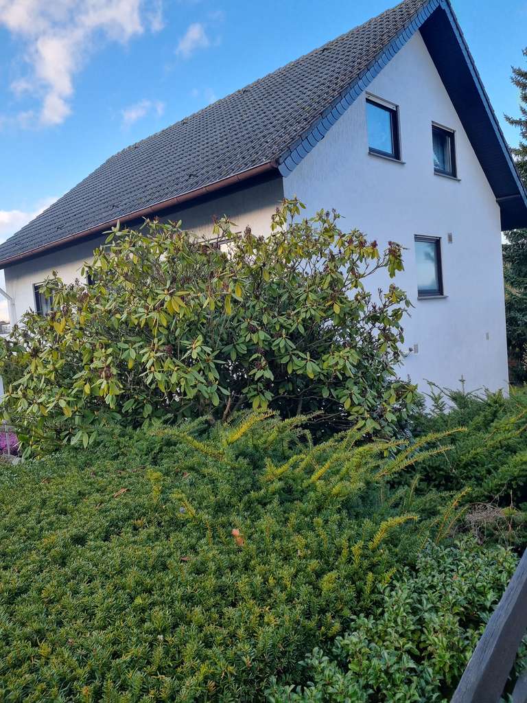 Freistehendes Einfamilienhaus ab 01.12.2025 zu verkaufen
