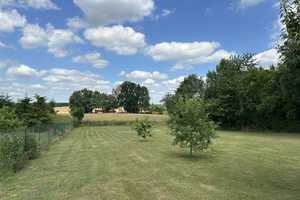 Doppelhaushälfte mit 10.257m² Ackerland und großzügigen Grundstück zu verkaufen! – Alleestraße 13, 17291 Uckermark (Kreis) – Vorschaubild 9
