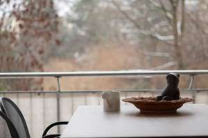 Property thumbnail 27