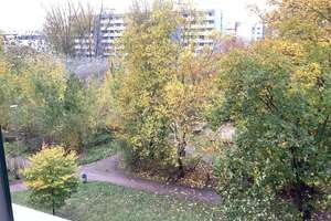 Umzug gefällig? 2-Zimmer-Wohnung – Blumberger Damm 263, 12687 Marzahn, Berlin – Vorschaubild 9