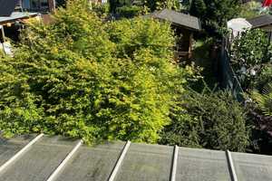 Nievenheim, RMH mit 4 Zi., ca. 93m² Wfl., 313m² Grund., Keller, gr. Garten, Grg.+Stellpl. – Neuss (Rhein-Kreis) – Vorschaubild 46