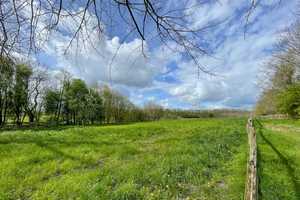 Resthof unter Reet -7,6 ha- Pferdestall- Reithalle, schöne Lage – Schleswig-Flensburg (Kreis) – Vorschaubild 7