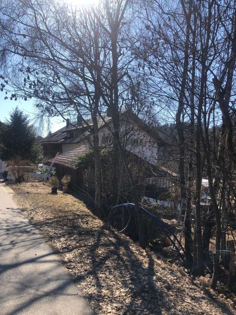 Immobilie in Sankt Englmar - Idyllisch gelegene Doppelhaushälfte inmitten der Natur von PRIVAT - Bild 3