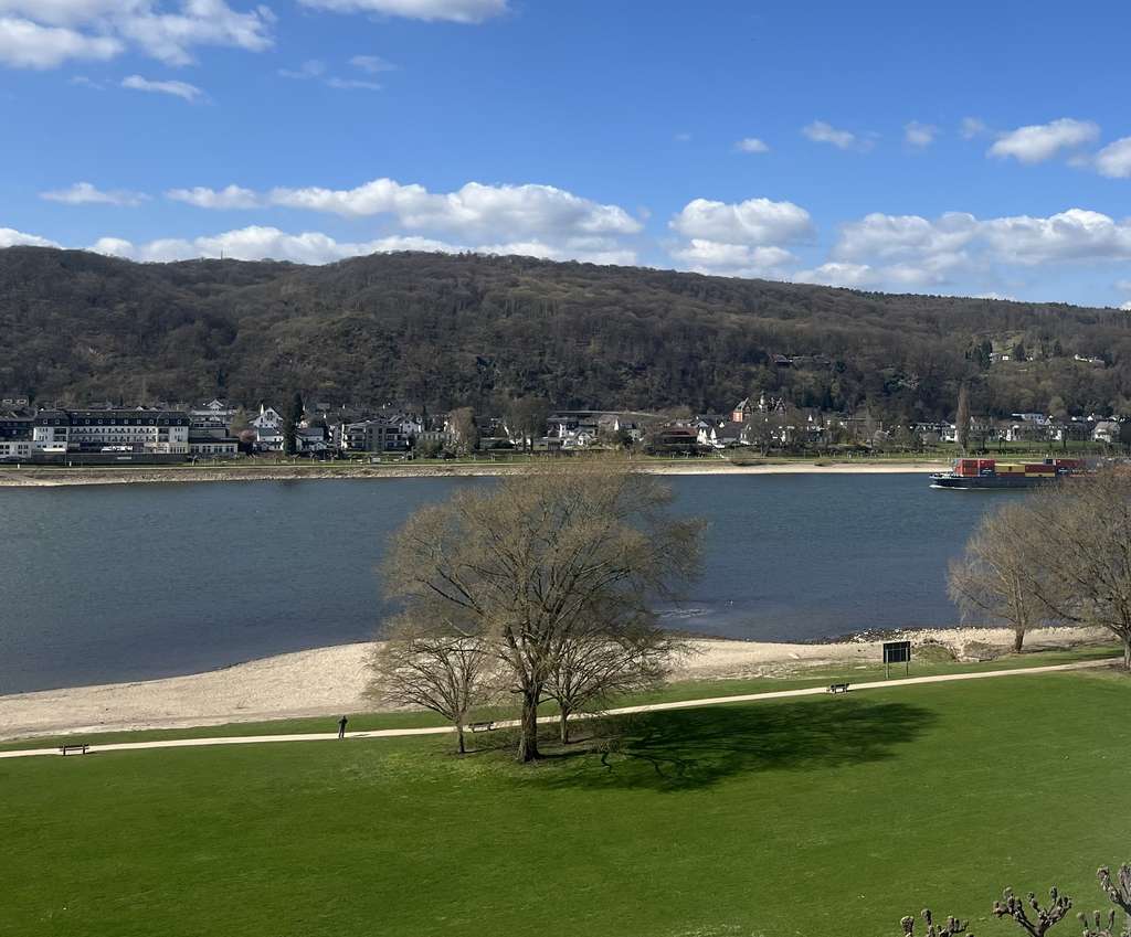 Immobilie in Bad Hönningen - Panorama Rheinblick 1-Zimmer Apartment in Bad Hönningen - Bild 0