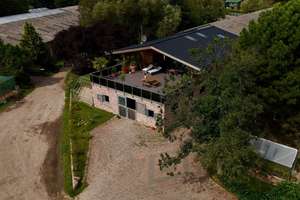 Exklusives Objekt für Pferdeliebhaber oder Hobbybetriebsstätte mit Wohnhaus im DG = in ruhiger Lage – Up´n Barg 10b, 22926 Ahrensburg – Vorschaubild 6