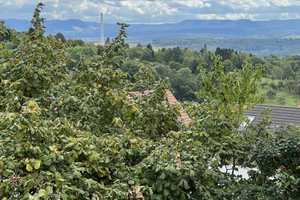 Exklusive Lage mit atemberaubendem Panoramablick! Großzügiges Einfamilienhaus mit ELW 204-23 – Esslingen (Kreis) – Vorschaubild 20