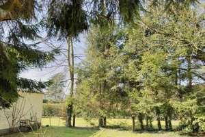 Modernisierte 2,5 Zi. Erdgeschosswohnung in Fuhlenbrock mit Garage – Die vollständige Adresse der Immobilie erhältst du vom Anbieter., 46242 Fuhlenbrock, Bottrop – Vorschaubild 4