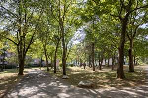 VIEL RAUM ZUM LEBEN – 4-Zimmer-Wohnung mit Garten und großer Terrasse – Die vollständige Adresse der Immobilie erhältst du vom Anbieter., 81737 Neuperlach, München – Vorschaubild 27