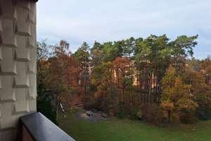 Renovierte 3-Zimmer-Wohnung mit zwei Balkonen und tollem Ausblick in Erlangen – Schallershofer Str. 46, 91056 Steinforst, Erlangen – Vorschaubild 6