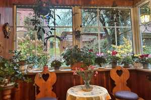 Ländliches Idyll: Charmantes Haus mit ca. 145 m² Wohnfläche – Uckermark (Kreis) – Vorschaubild 6