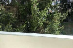 Einzimmerwohnung mit Balkon  in Regensburg – Bruderwöhrdstraße 16, 93055 Ostenviertel, Regensburg – Vorschaubild 3
