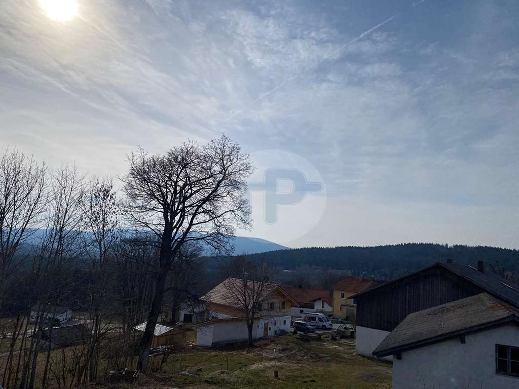 Immobilie in Haidmühle - IDYLLISCHES BAYERWALD-HÄUSCHEN - Bild 3