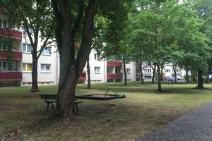 helle 3 Raumwohnung mit Balkon  – Wilhelm-Klees-Straße 18c, 39108 Stadtfeld Ost, Magdeburg – Vorschaubild 4