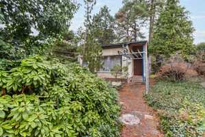 Bungalow auf großem Grundstück in Konradshöhe – Berlin – Vorschaubild 7