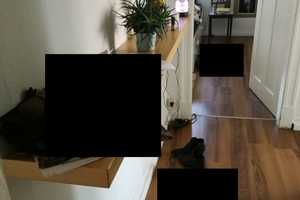 Nachmieter*in für helle Altbau-Whng. im Lehenviertel – Stuttgart – Vorschaubild 8