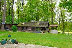 Bungalow - fast neuwertig - auf großem Waldgrundstück in toller Lage – Die vollständige Adresse der Immobilie erhältst du vom Anbieter., 21271 Asendorf – Vorschaubild 5