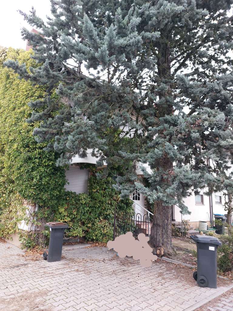 Immobilie in Maxdorf - 4-Zimmer Reihenendhaus mit Garage in Maxdorf - Bild 1