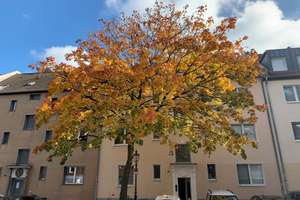 D-Bilk: ruhige 4-Zi-Wg.  mit Balkon & Garten