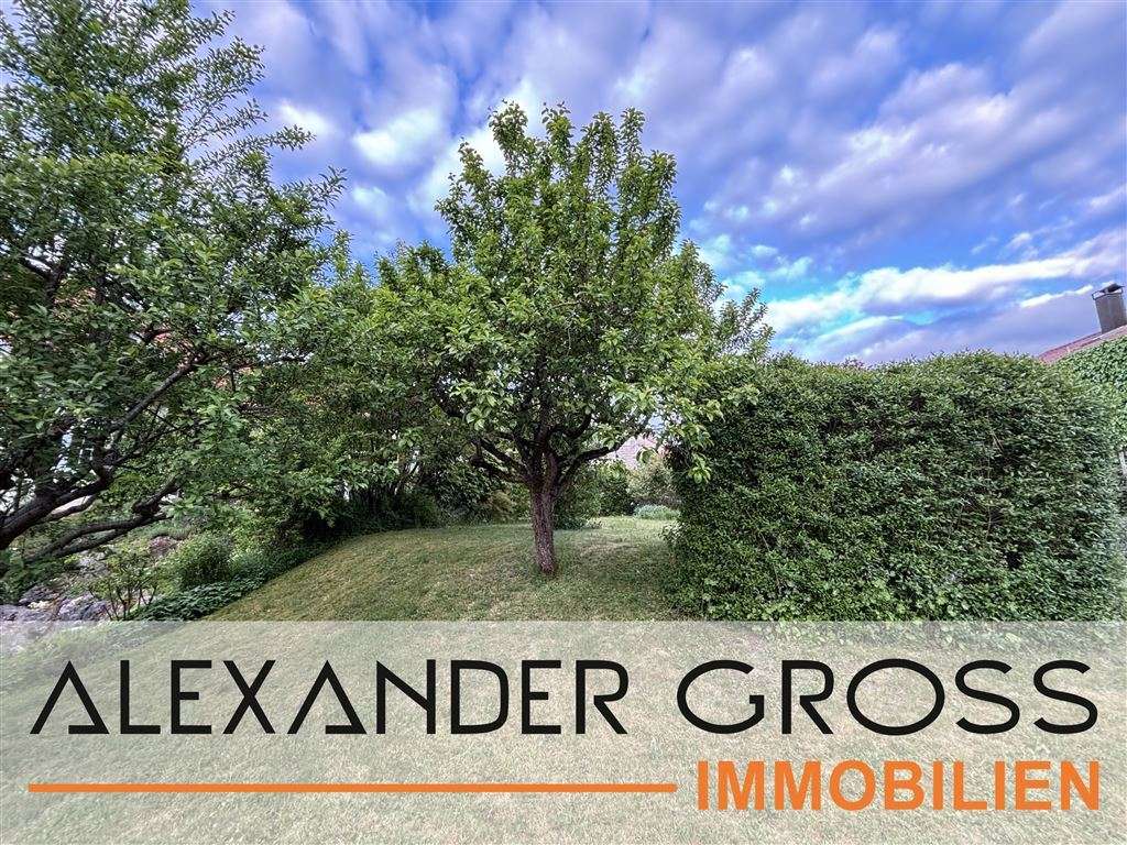 Immobilie in Pegnitz - Attraktives modernes Wohnhaus mit separater Gewerbeeinheit oder Einliegerwohnung in ruhiger Lage - Bild 0