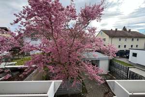 Kleine hübsche Doppelhaushälfte mit schönem Garten - sofort frei! – Die vollständige Adresse der Immobilie erhältst du vom Anbieter., 89597 Munderkingen – Vorschaubild 11