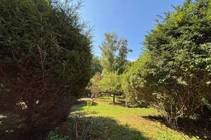 Property thumbnail 14