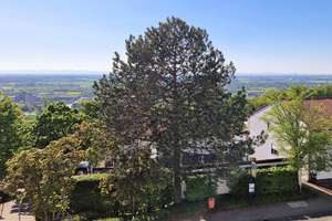 Familienfreundlich mit herrlicher Aussicht