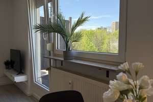 Modernisiertes 1-Zimmer-Apartment in Reutlingen – Elisenweg 20, 72762 Reutlingen-Mitte, Reutlingen – Vorschaubild 8