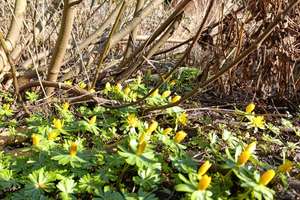 Property thumbnail 33