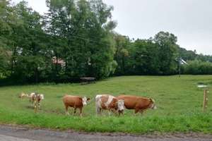 Charmantes Landhaus mit Nebengebäude in idyllischer Alleinlage - bestens zur Pferdehaltung geeignet! – Die vollständige Adresse der Immobilie erhältst du vom Anbieter., 91469 Hagenbüchach – Vorschaubild 4