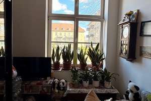 **Vermietete 2 Zimmer Wohnung mit Balkon im Hochparterre Erdgeschoss im grünen Karlshorst** – Die vollständige Adresse der Immobilie erhältst du vom Anbieter., 10318 Karlshorst, Berlin – Vorschaubild 11