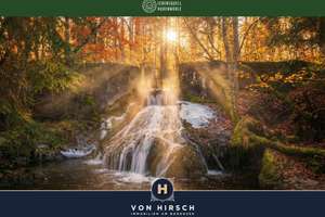 Lebensquell Hubenmühle - Wohnen & Arbeiten im Rückzugsort am Wasser – Die vollständige Adresse der Immobilie erhältst du vom Anbieter., 88634 Herdwangen-Schönach – Vorschaubild 25