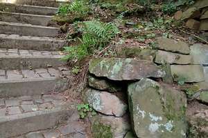 Erholung pur im Pfälzerwald! Idyllisches Wochenendhaus in Frankenstein (Pfalz) – Schliertal 22, 67468 Frankenstein – Vorschaubild 18