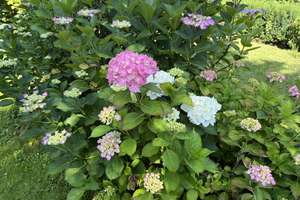 Property thumbnail 9