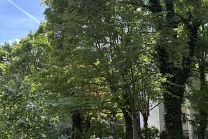 Direkt am Park – 2-Zimmer-Wohnung in charmantem Altbau mit Küche in ruhiger Seitenstraße Gohlis – Michael-Kazmierczak-Straße 7, 4157 Gohlis-Mitte, Leipzig – Vorschaubild 11