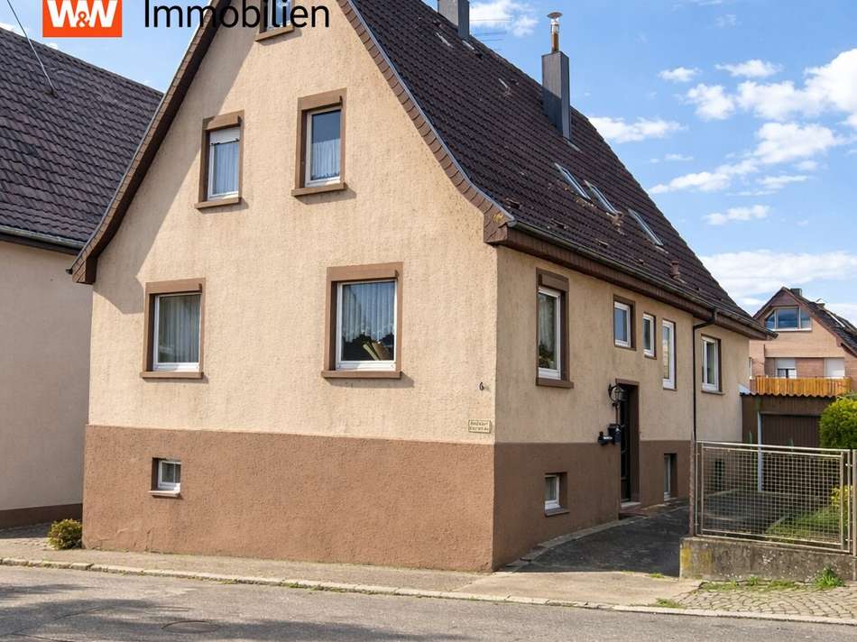 1 EFH Hausansicht