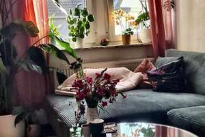 Gemütliche 2-Zimmer-DG_Wohnung inkl. EBK - zentral im beliebten Paulusviertel – Kemnastr. 17, 45657 Paulusviertel, Recklinghausen – Vorschaubild 4