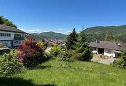 IMG 0752