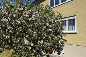 Mehrgenerationenhaus mit 3 Wohneinheiten in ruhiger Lage
