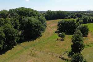 Generationswohnen mit Atelier, umgeben von Auewiesen ein Paradies  für Mensch u. Tier auf 30.000m²  – Nienburg (Weser) (Kreis) – Vorschaubild 10