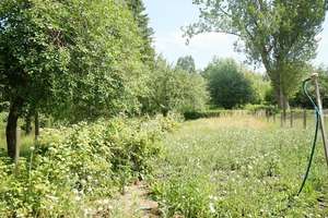 Für Naturliebhaber und Bahnfans – Die vollständige Adresse der Immobilie erhältst du vom Anbieter., 23972 Dorf Mecklenburg – Vorschaubild 13