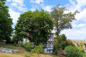 Wunderschönes Anlageobjekt in bester Wernigeröder Lage... – Die vollständige Adresse der Immobilie erhältst du vom Anbieter., 38855 Wernigerode – Vorschaubild 5