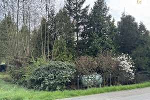Großes EFH Steinau-Höring in ruhiger Lage direkt am Kanal mit eigenen Bootsanleger (Pacht) – Die vollständige Adresse der Immobilie erhältst du vom Anbieter., 21775 Steinau – Vorschaubild 24