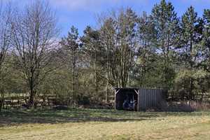 Herrliches Anwesen mit Pferdestall, Reitplatz und Wiesen in ruhiger Lage – Oldenburg (Kreis) – Vorschaubild 23