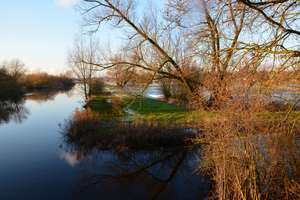 Property thumbnail 21